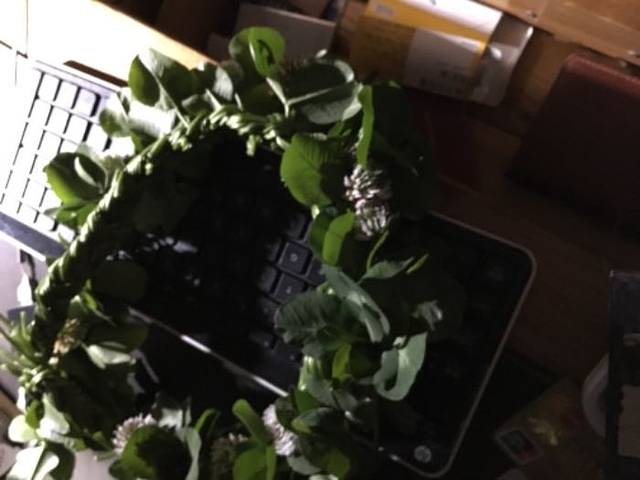 威海多福山国际养生旅游度假区