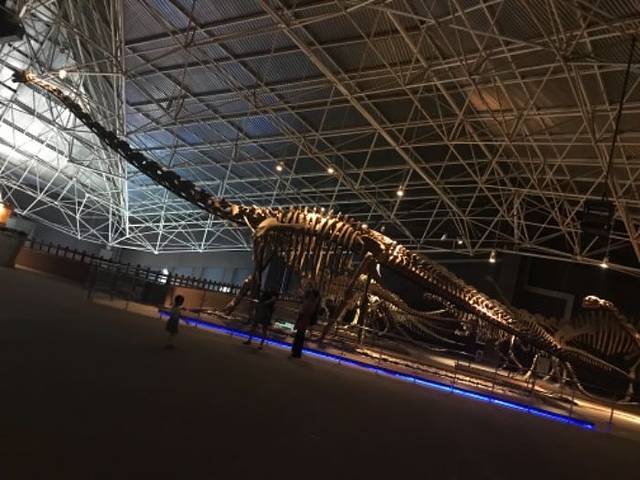 禄丰长龙温泉水乐园