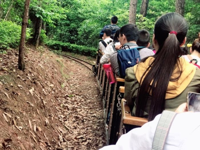 "但是里面的餐食真的很差，不建议在里面吃午餐，可以自己带点水果进去_成都松鼠部落"的评论图片