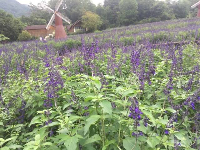 德庆盘龙峡生态旅游区