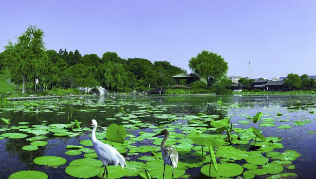 2024凤凰山公园-旅游攻略-门票-地址-问答-游记点评,金华旅游旅游景点