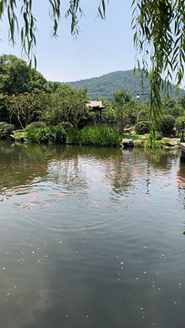 飞来峰旅游景点攻略图