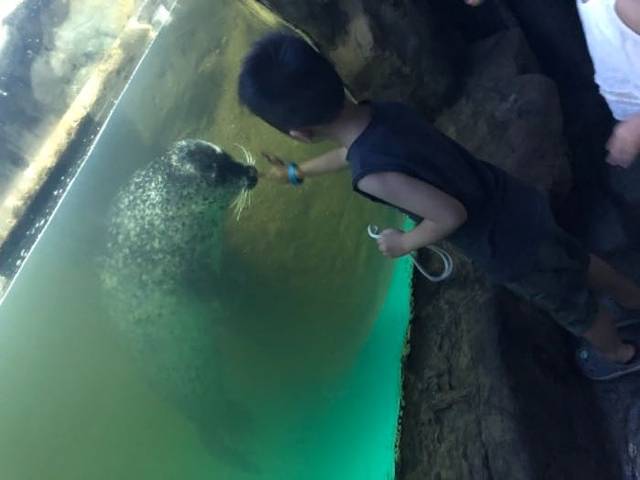 云龙湖水上世界