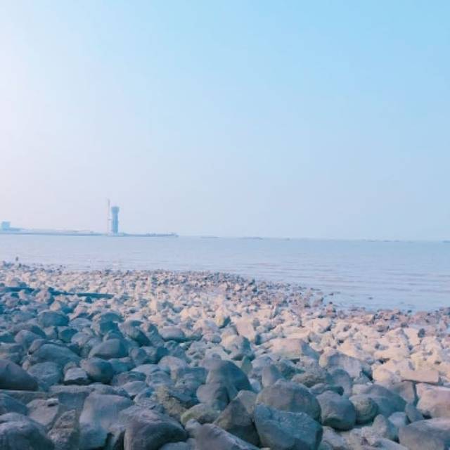 吴淞炮台湾湿地森林公园