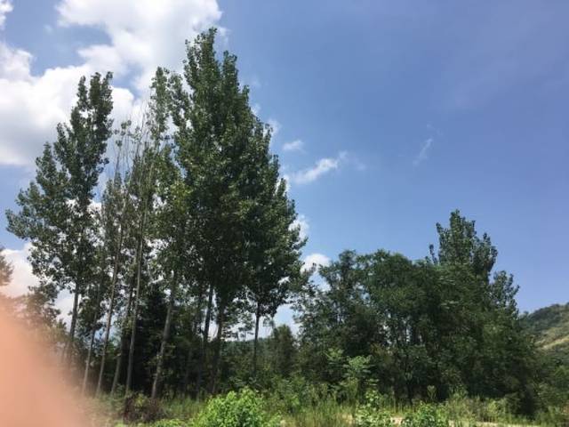 天景山飞瀑漂流