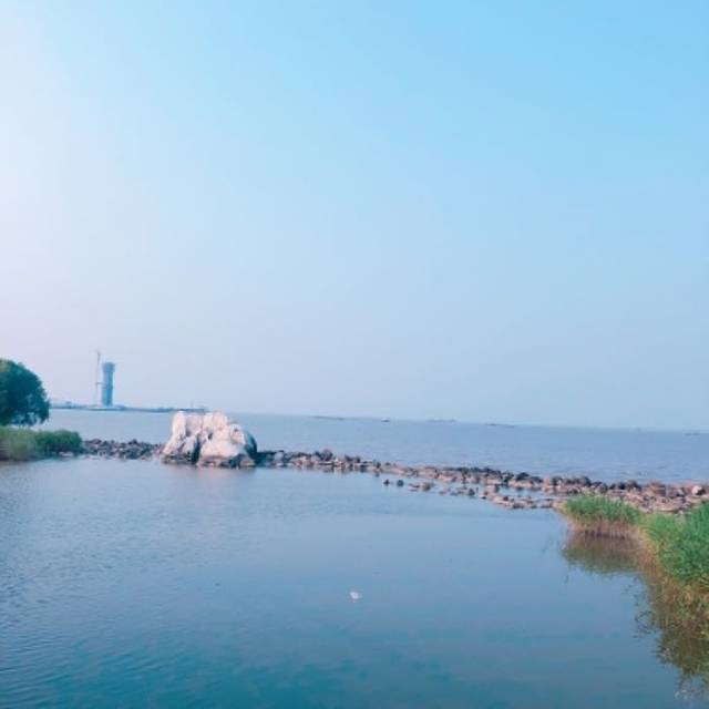 吴淞炮台湾湿地森林公园