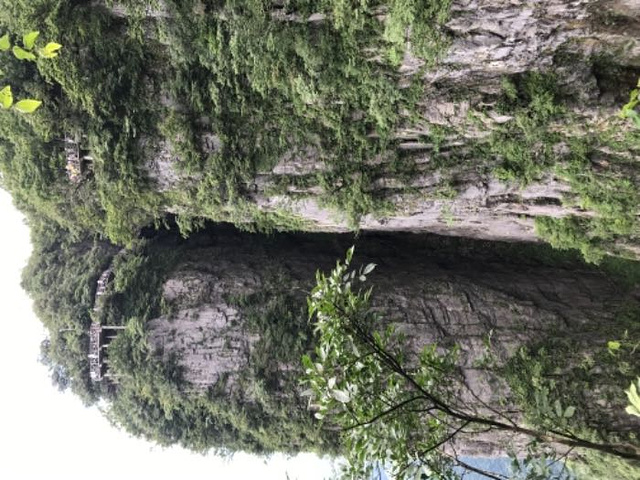 "_天门山国家森林公园"的评论图片