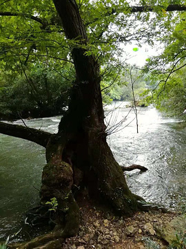 黄果树风景名胜区旅游景点攻略图