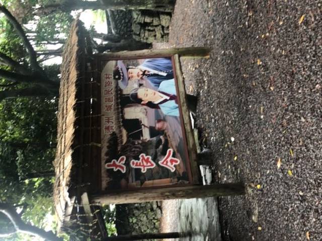 新罗免税店济州店