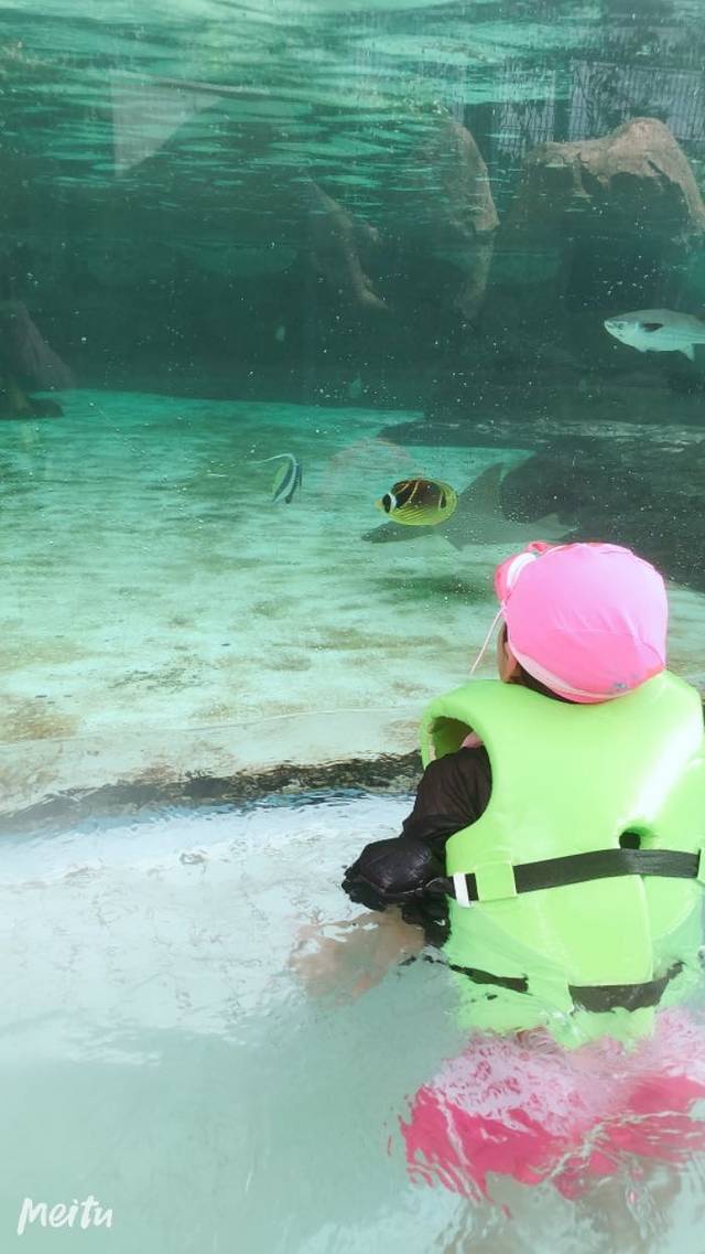 新加坡水上探险乐园