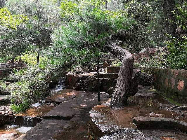 遷安山葉口景區遊玩攻略,山葉口景區遊覽攻略路線/地址/門票價格-【去