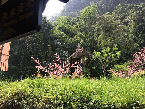 遇龙河景区旅游景点攻略图