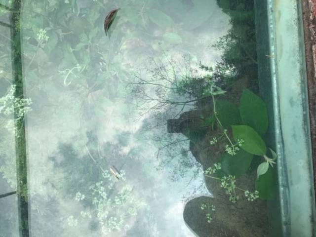 永春船山岩生态园