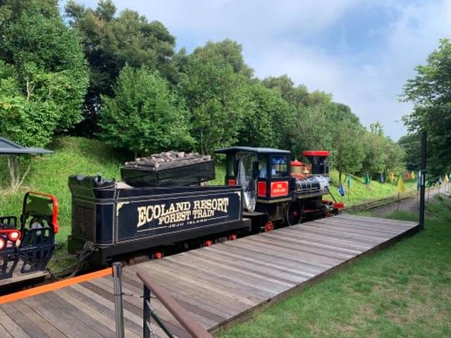 新罗免税店济州店