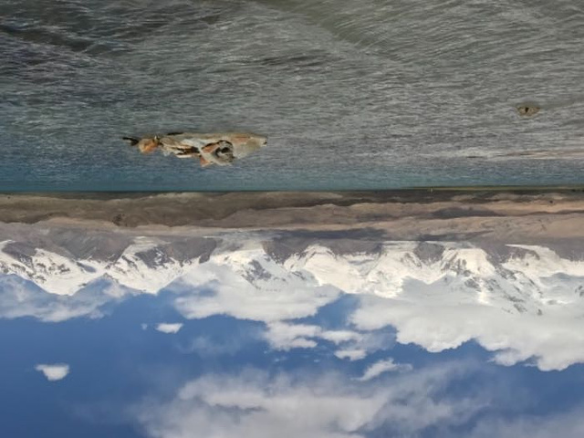 "风景超美近距离的雪山超级震撼的感觉让人忍不住的惊叹，导游牟姐姐人也超好一路上给我们讲喀什维族的..._卡拉库里湖"的评论图片