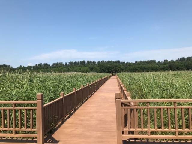 鼎翔生态旅游度假区