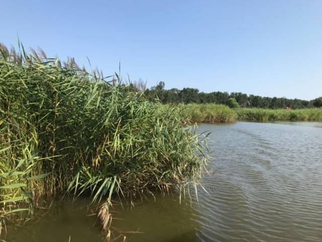 鼎翔生态旅游度假区