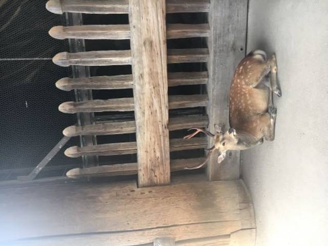 大阪精选一日游