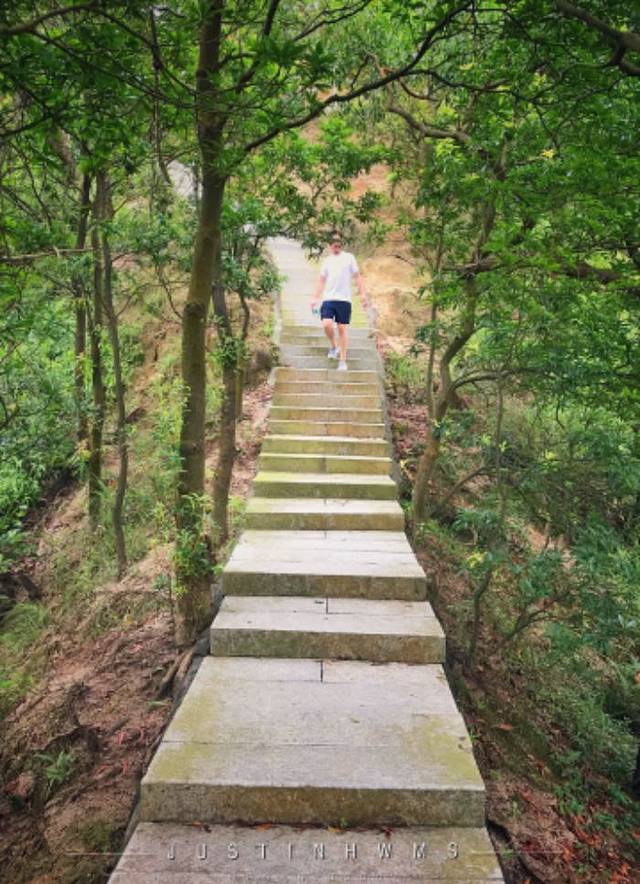 板樟山森林公园