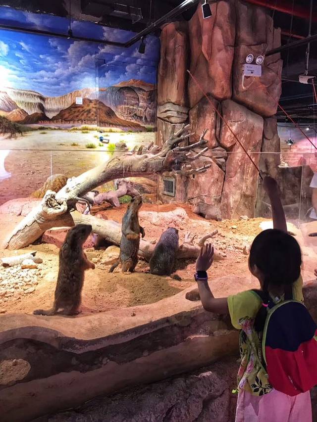 正佳雨林生态植物园