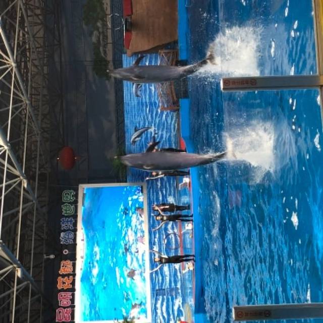 海趣花都海洋世界