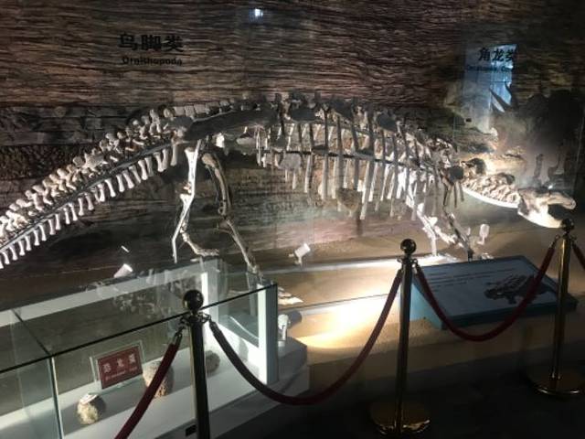 辽宁朝阳鸟化石国家地质公园