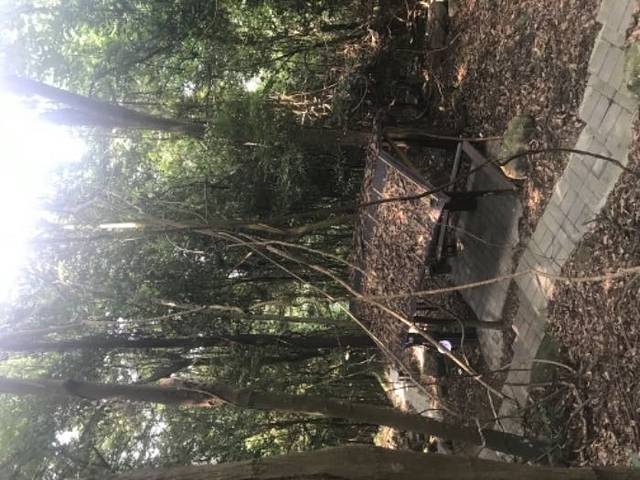 永春船山岩生态园