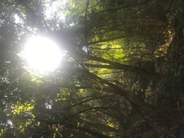 永春船山岩生态园