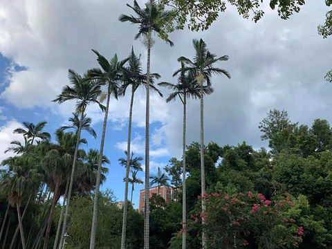 厦门老院子景区旅游景点攻略图