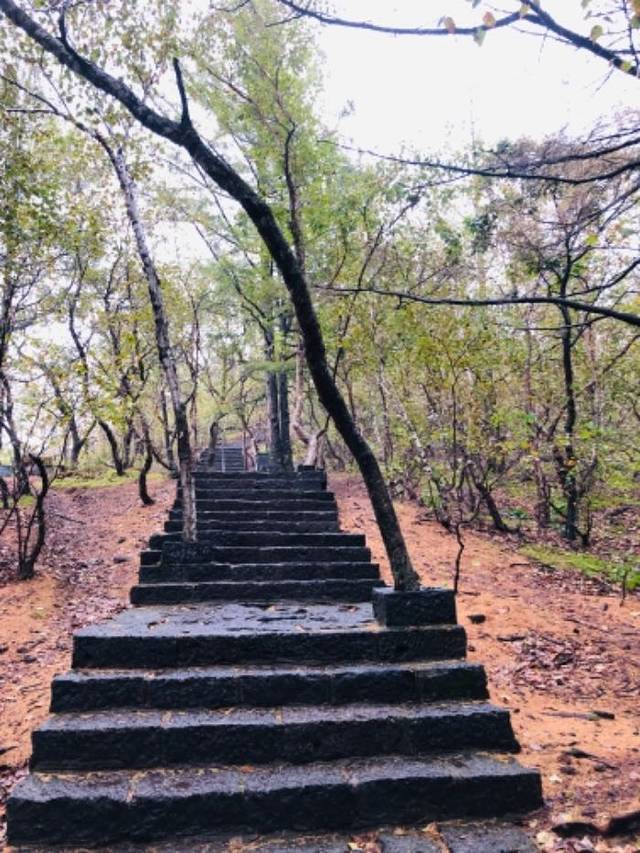 老黑山(火山)景区