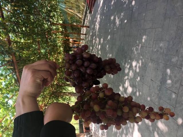 吐鲁番坎儿井博物馆