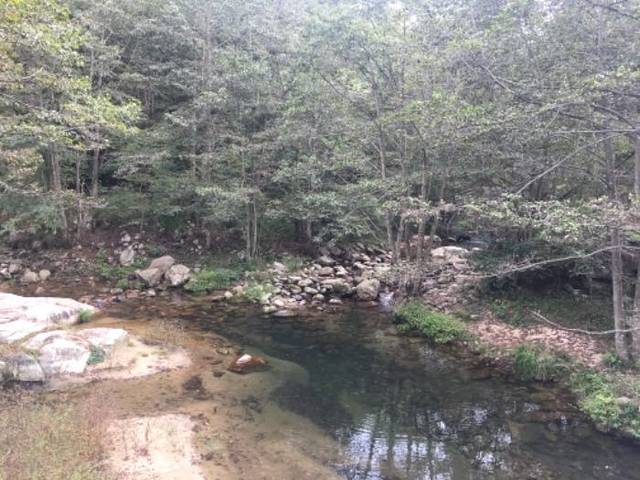 鹞落坪国家级自然保护区