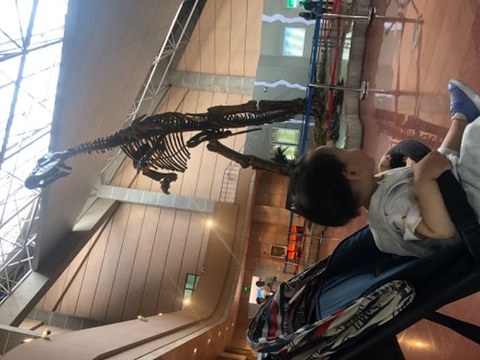 诸城恐龙博物馆旅游景点图片
