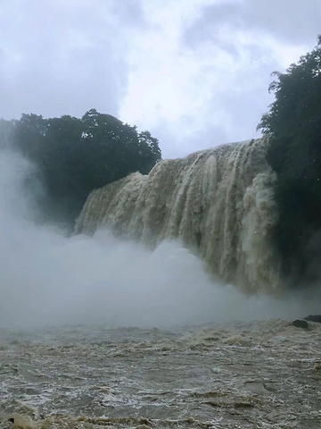 "今天运气好，虽然下着雨，却看到了最壮观的瀑布场景，照片发朋友圈里，来游玩过的朋友都好生羡慕_黄果树风景名胜区"的评论图片