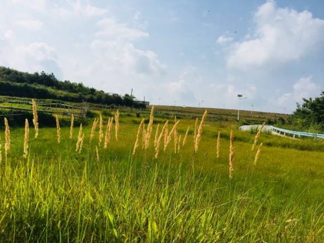 贵州龙里大草原景区