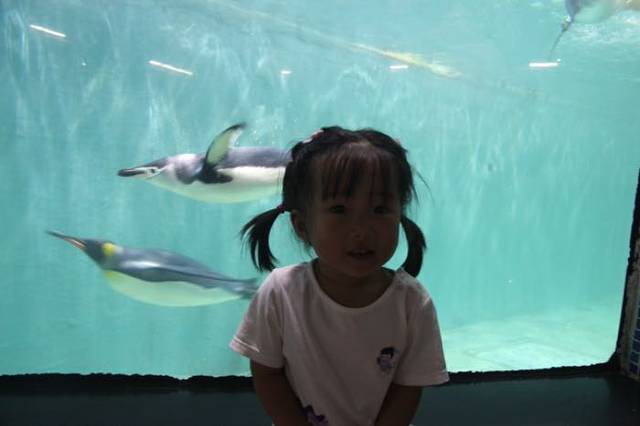 小梅沙海洋世界