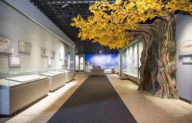 千岛湖自然博物馆