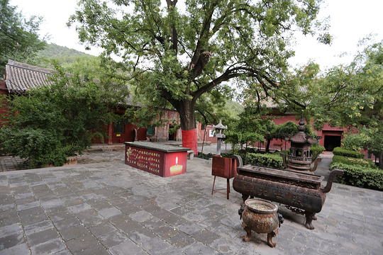 广胜寺旅游景点图片