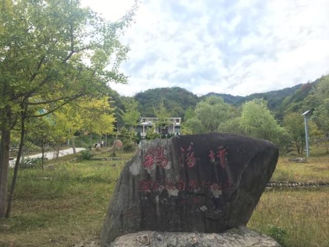 鹞落坪国家级自然保护区