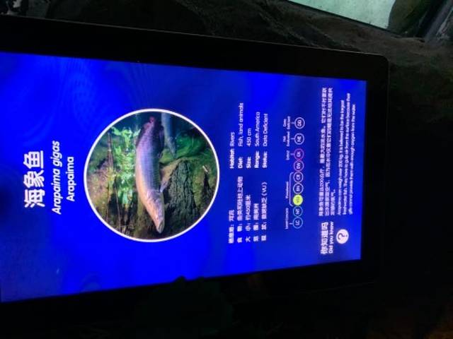 上海长风海洋世界