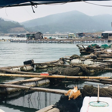 东山岛旅游景点攻略图