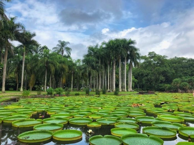 2023_中科院西雙版納熱帶植物園-評論-去哪兒攻略