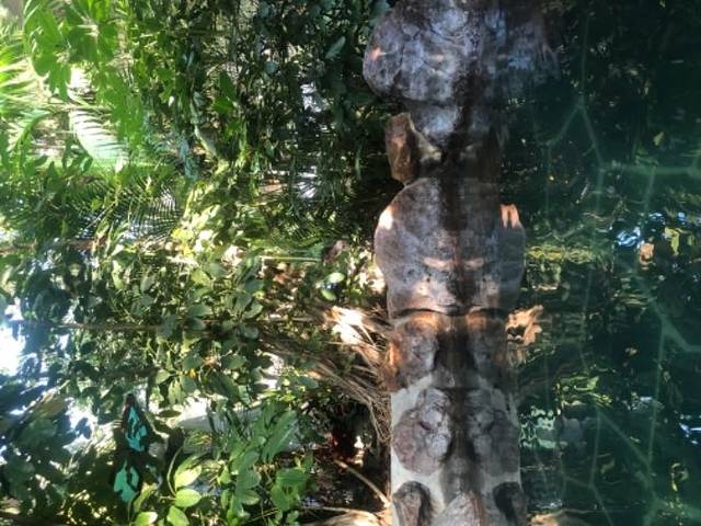 锦绣香江温泉城(原香江健康山谷)