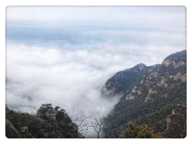 "_庐山国家级旅游风景名胜区-锦绣谷"的评论图片