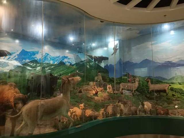 西北农林科技大学博览园