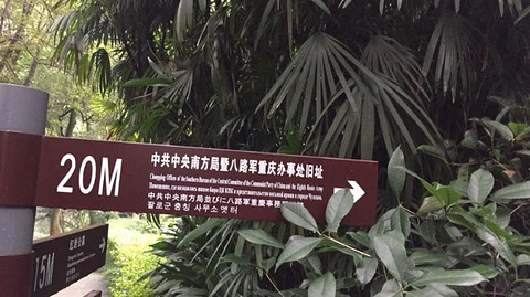重庆两江游