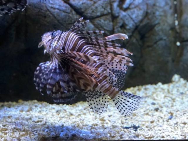 海滨城浩海立方海洋公园