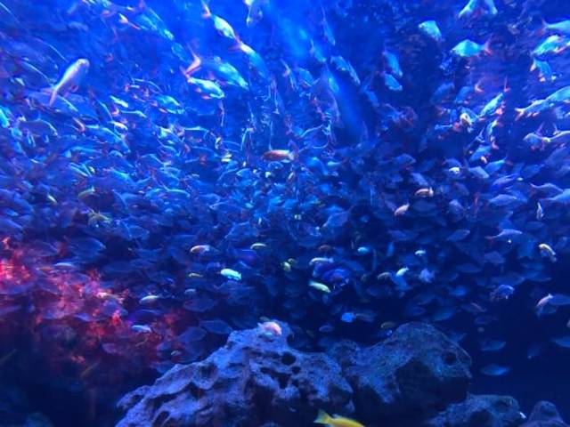 海滨城浩海立方海洋公园