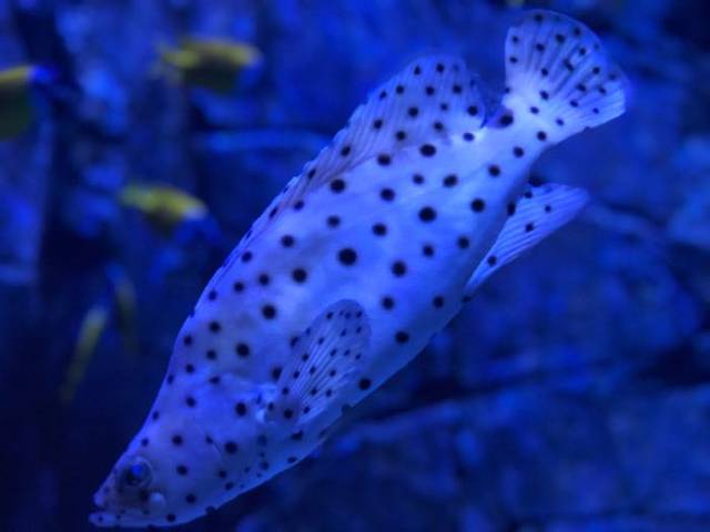 海滨城浩海立方海洋公园