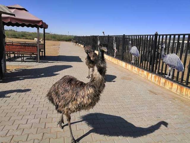 恩格贝生态旅游区